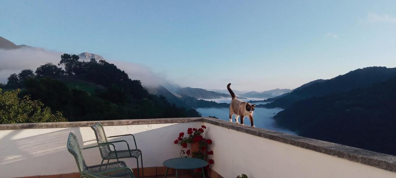Vis 101 Bed & Breakfast Vista  Luaran gambar